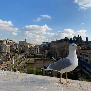 Meet your Posher, Soo bin